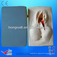 2013 HOT SALE training model for perineum suture